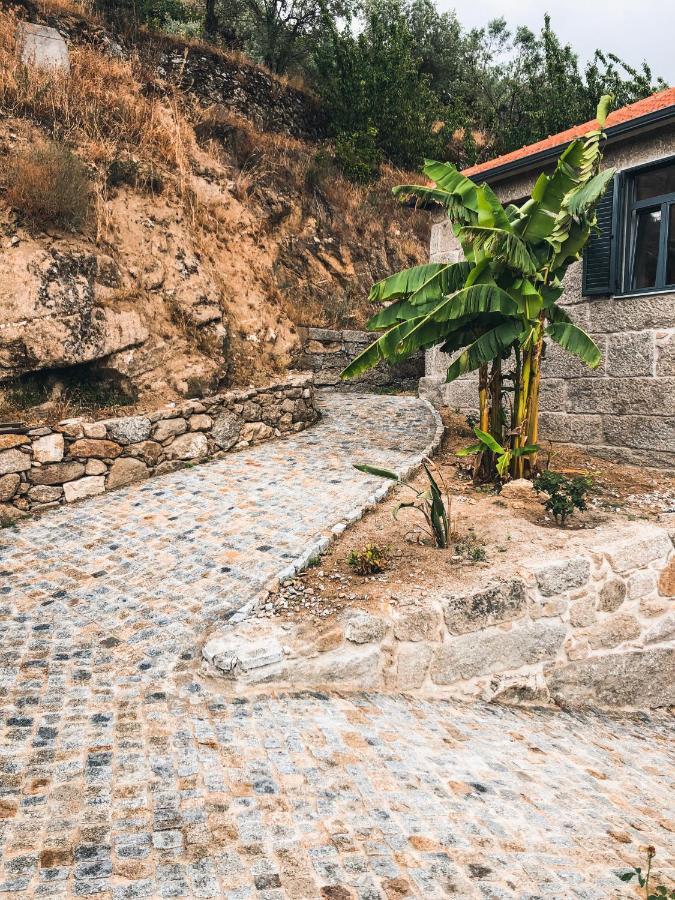 Bed and Breakfast Quinta Do Fojo Valonguinho, Barro Barro  Zewnętrze zdjęcie